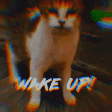 Wakeup Cat GIF - Wakeup Cat GIFs