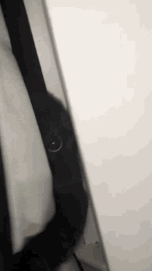 a close up of a black object with a white background