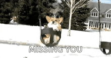 Corgi Dog GIF - Corgi Dog Swing GIFs
