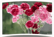 Flowers Bouquet GIF - Flowers Bouquet GIFs