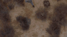 a person 's feet are sticking out of a hole in the ground under a shelf .