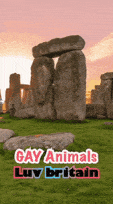 an advertisement for gay animals in britain with a sunset in the background