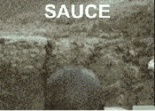Sauce Dripping GIF