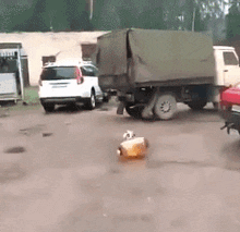 Two-liter Jack Russell GIF - Two-liter Jack Russell Keg GIFs