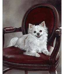 Custom Dog Portrait Adorable GIF - Custom Dog Portrait Adorable Cute GIFs