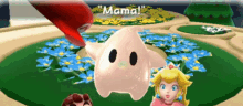 Super Mario Galaxy Mama GIF