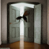 Fly Door GIF - Fly Door Close GIFs
