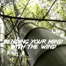 Bending Your Mind With The Wind Bend GIF - Bending Your Mind With The Wind Bend Bamboo GIFs