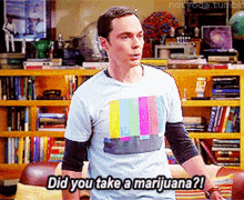 Sheldon Big Bang Theory GIF - Sheldon Big Bang Theory Are You On Drugs GIFs