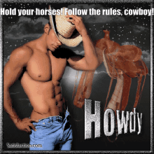Cowboy GIF