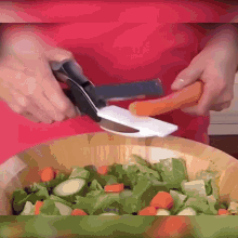 Clever Cutter Onion GIF - Clever Cutter Onion Knife - Discover & Share GIFs