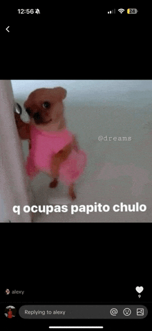 a small brown dog wearing a pink dress is standing in a bathtub .