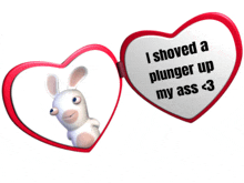 a heart shaped mirror with a picture of a bunny and the words " i shoved a plunger up my ass < 3 "