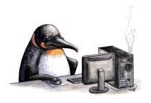 Pinguin Computer GIF - Pinguin Computer GIFs