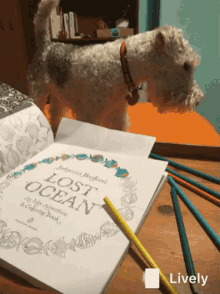 Wirefoxterrier Coloring GIF - Wirefoxterrier Coloring Dog GIFs
