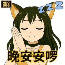 a cartoon of a girl with cat ears and the words ndq 666
