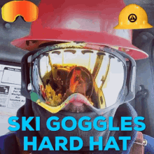 Safety Goggles GIF - Safety Goggles Freezing GIFs