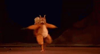 dancing-squirrel.gif