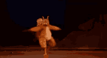 dancing squirrel