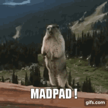 Madpad E7 GIF - Madpad E7 Epic Seven GIFs