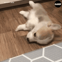Dog Tired GIF - Dog Tired Corgi GIFs