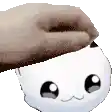 a person is holding a white cat 's head with a brown blanket on it .