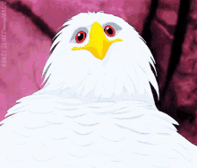 Marahute Bird GIF - Marahute Bird Eagle GIFs