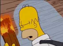 Homer Simpson Slapped GIF - Homer Simpson Slapped Cat GIFs