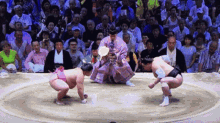 sumo sumo wrestler sumo wrestling ura ura kazuki
