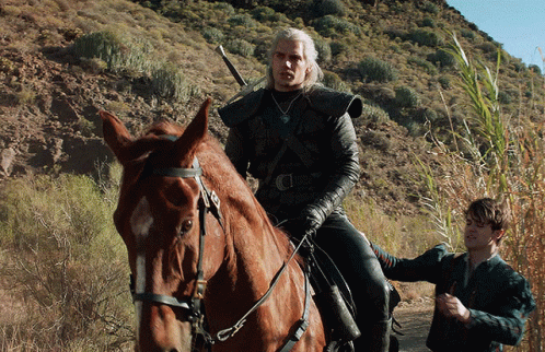 Witcher The Witcher GIF - Witcher The Witcher Geralt - Discover & Share GIFs