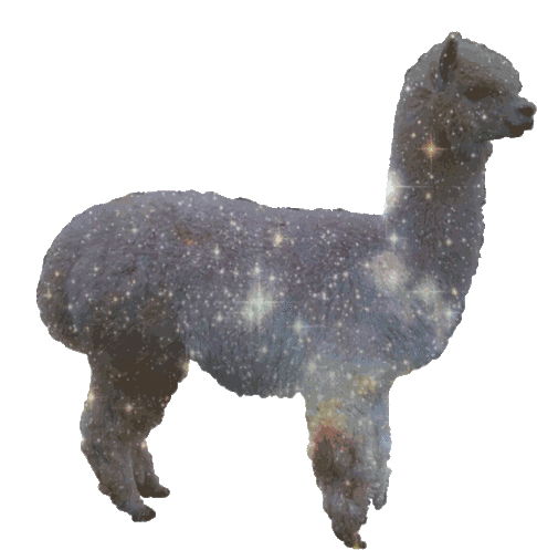 Sparkling Llama Sticker - Sparkling Llama Galaxy Stickers