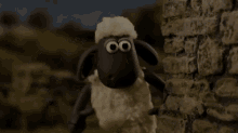 Shawn The Sheep Bub GIF - Shawn The Sheep Bub Beep Beep GIFs