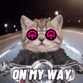 On My Way On My Way Gif GIF - On My Way On My Way Gif Cat GIFs
