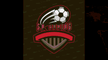 a logo for a soccer team with a soccer ball flying through the air