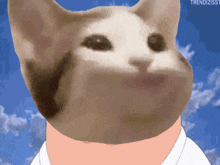 a cat 's head is on a person 's neck with a blue sky in the background
