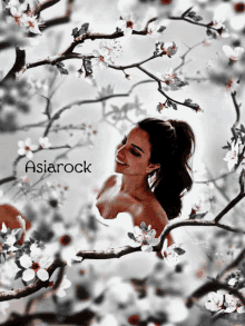 Asiarock GIF - Asiarock GIFs