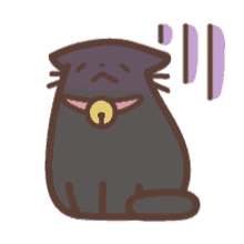 kitten black