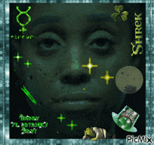 a picture of a woman 's face with shrek on the bottom