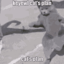 Keyewl GIF - Keyewl GIFs