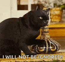 a black cat is sitting next to a vase and says `` i will not be ignored ! ''