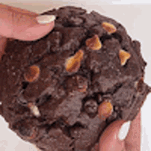 Cookie Chocolate GIF - Cookie Chocolate Cookies GIFs