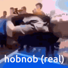 Hobnob Real GIF - Hobnob Real Hobnob_real GIFs