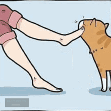 Cat Lover Pusa GIF - Cat Lover Pusa GIFs