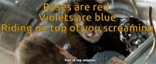Roses Are Red Violets Are Blue GIF - Roses Are Red Violets Are Blue Riding GIFs