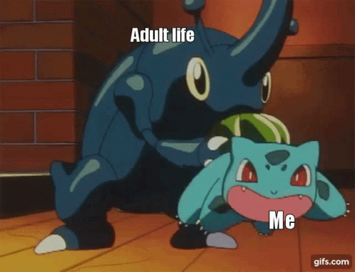 pokemon-adult.gif