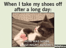Long Day When I Take My Shoes Off After A Long Day GIF - Long Day When I Take My Shoes Off After A Long Day Kitten GIFs