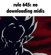 rule 645 : no downloading midis is written above a picture of a cartoon character