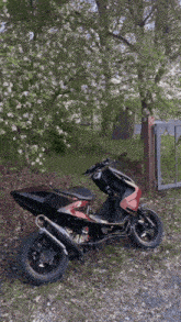 a red and black scooter is parked in front of a tree with white flowers