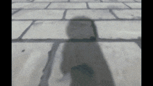 a person 's shadow is cast on a brick sidewalk
