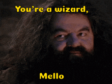 Ylands Mello GIF - Ylands Mello Wizard GIFs